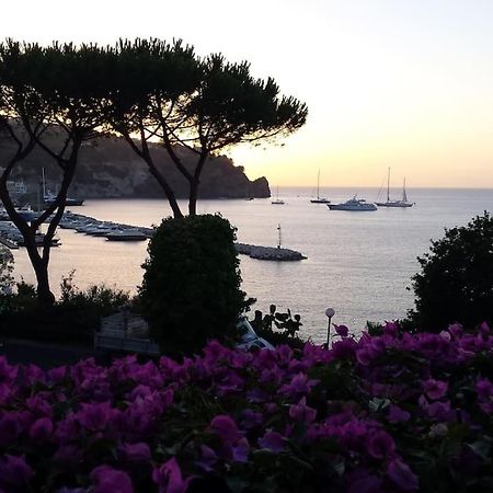 Giardino Mediterraneo Lacco Ameno  Exterior photo