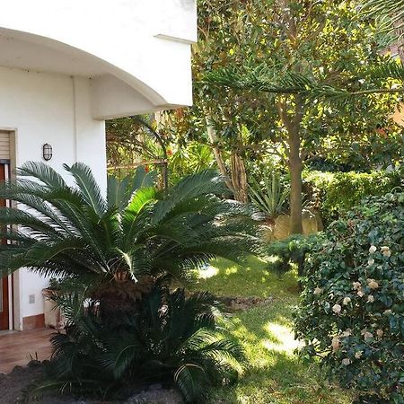 Giardino Mediterraneo Lacco Ameno  Exterior photo