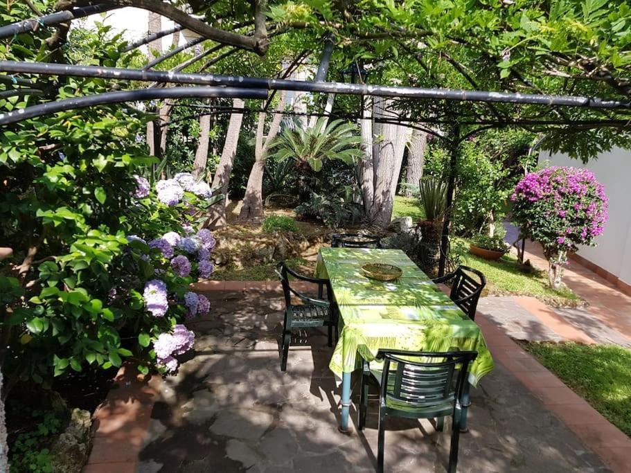 Giardino Mediterraneo Lacco Ameno  Exterior photo