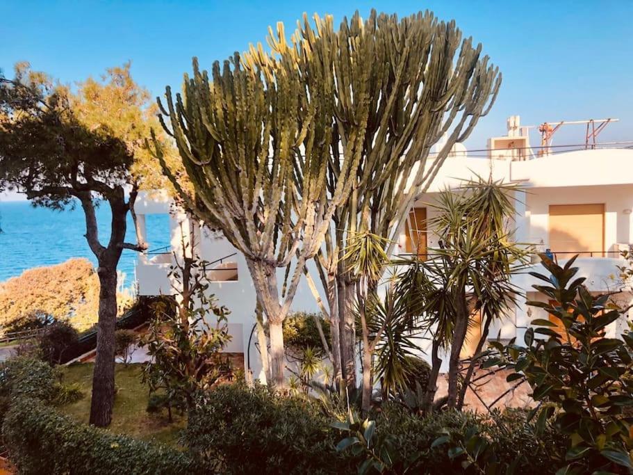 Giardino Mediterraneo Lacco Ameno  Exterior photo
