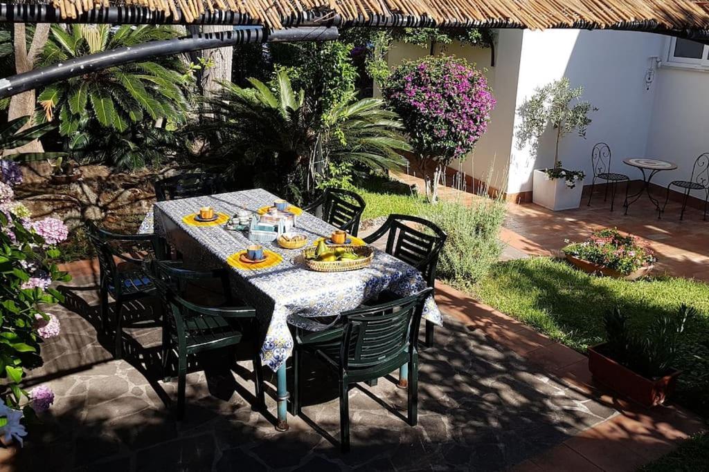 Giardino Mediterraneo Lacco Ameno  Exterior photo