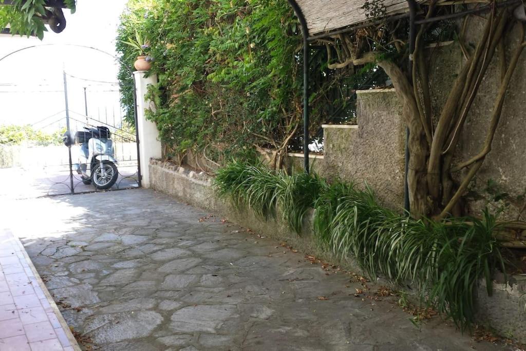 Giardino Mediterraneo Lacco Ameno  Exterior photo